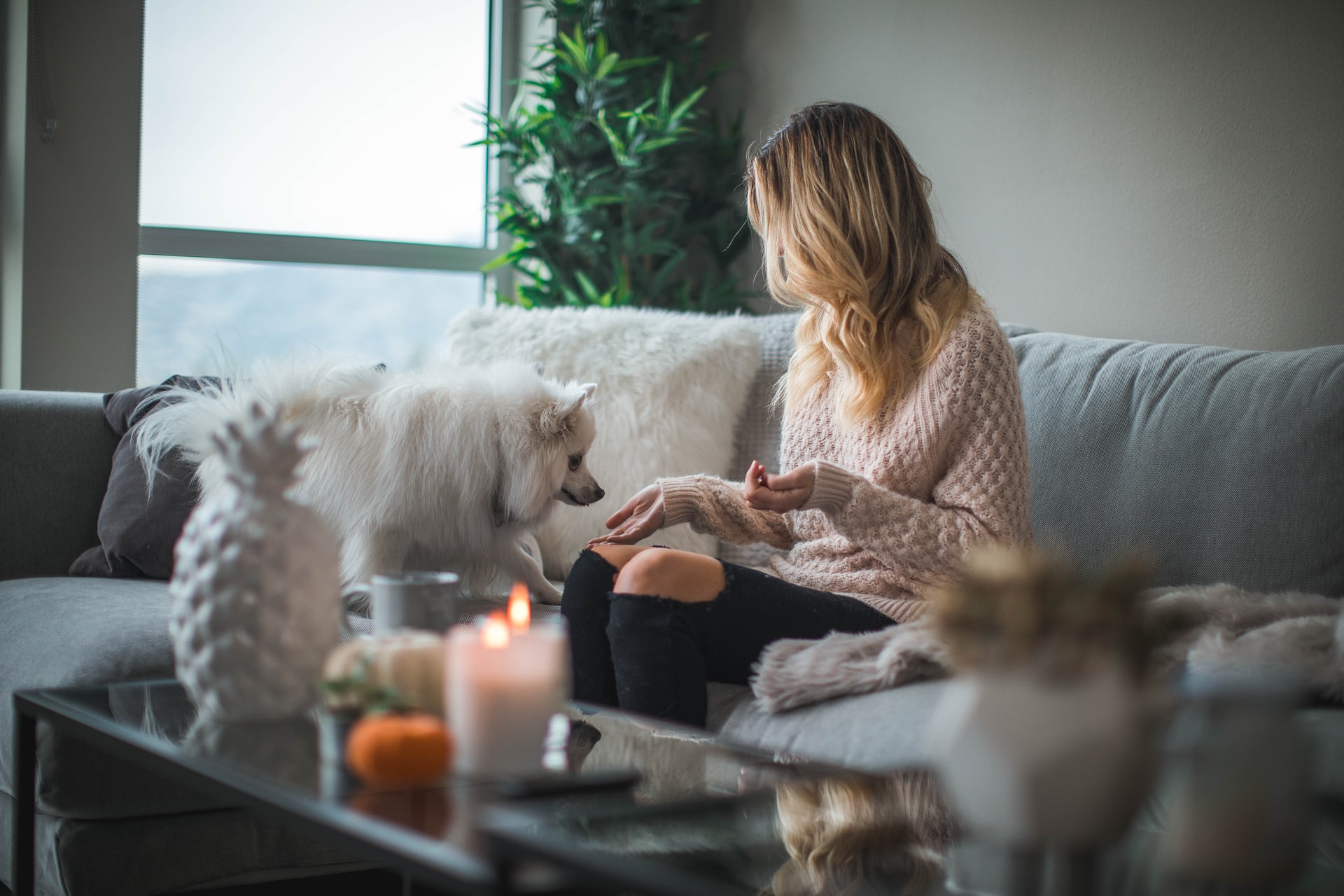 Simple Ways to Maintain the Best Air Quality in Your Home