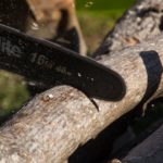 chainsaw