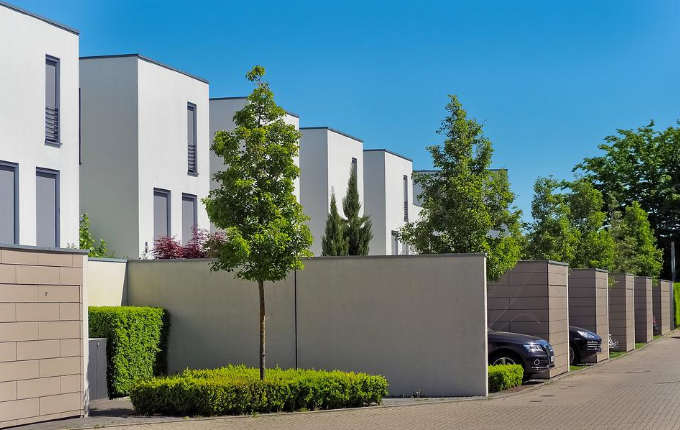trees at home