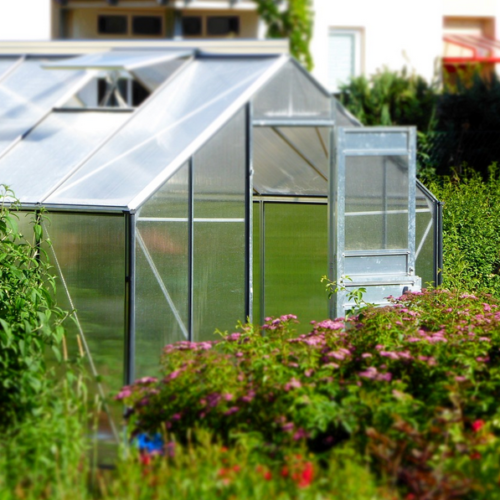 Greenhouse Maintenance Checklist for All Newbie Gardeners